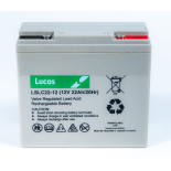 Batterie Plomb Etanche Stationnaire et Cyclage Golf Lucas VRLA AGM  LSLC22-12G 12V 22Ah.